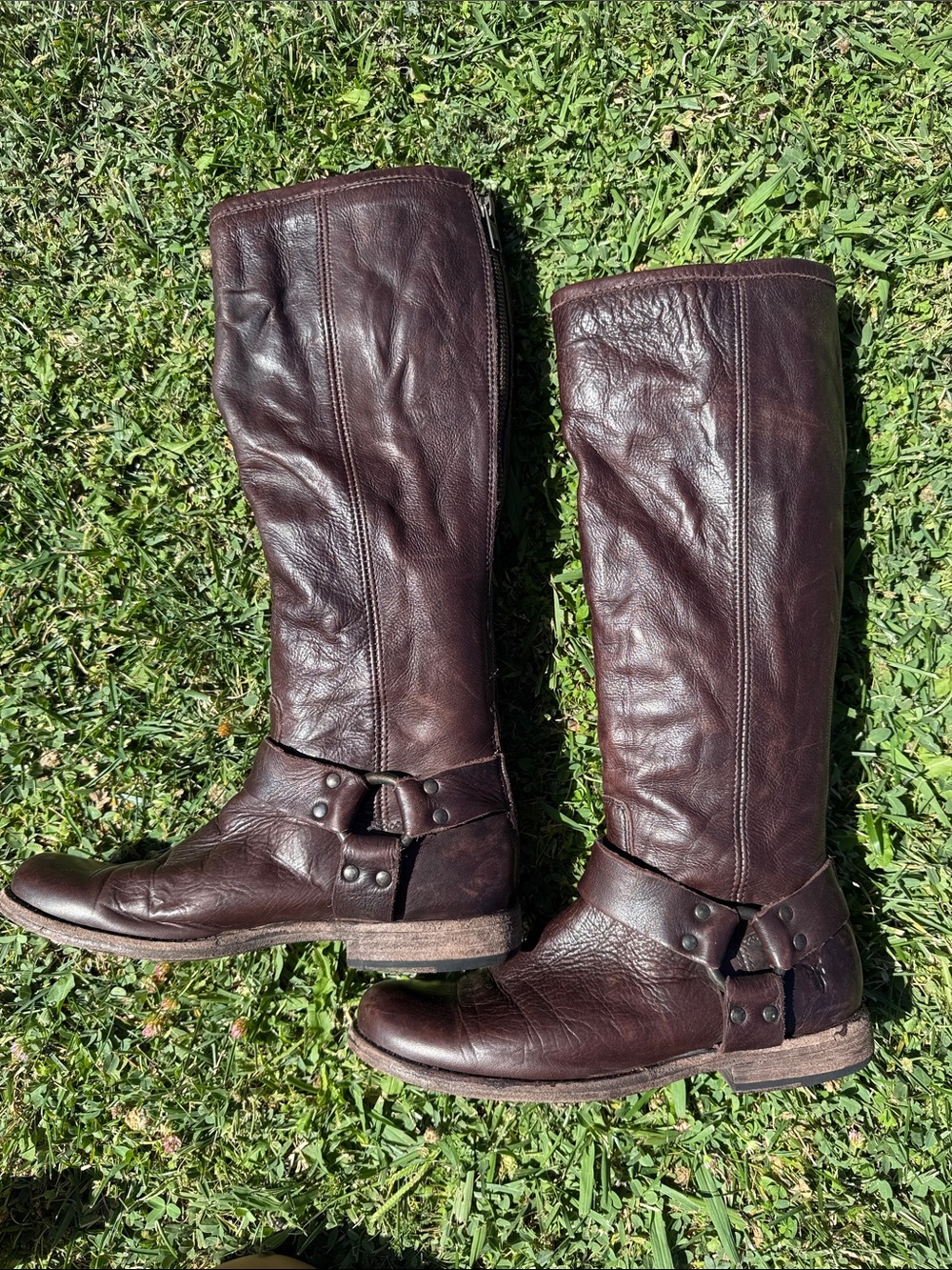 Frye Women's Dark Brown Harness Riding Boots